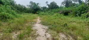 One Acre Farm Land for Sale