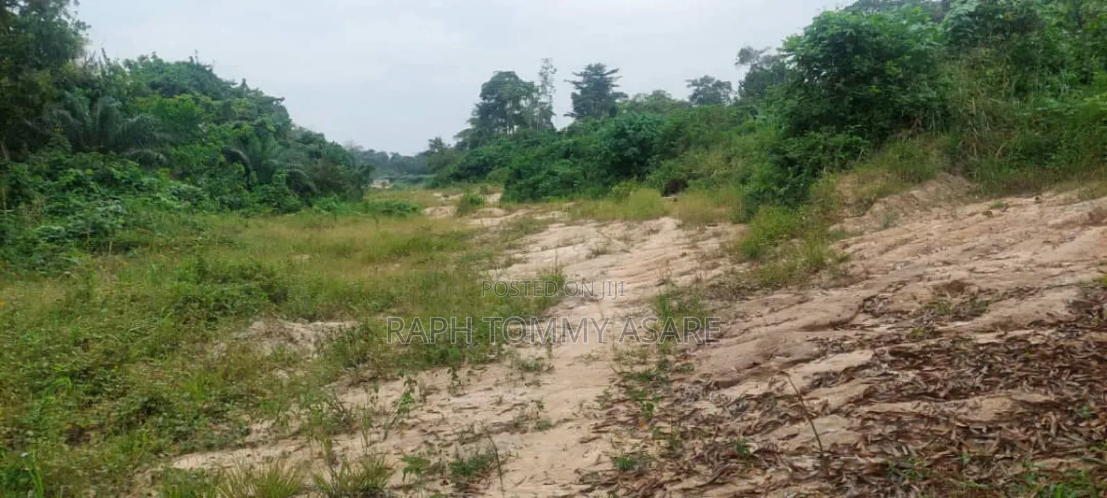 One Acre Farm Land for Sale