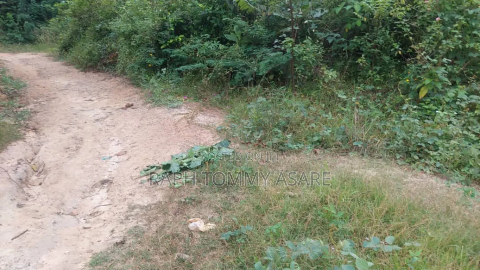 One Acre Farm Land for Sale