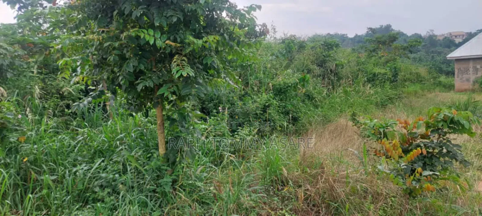One Acre Farm Land for Sale