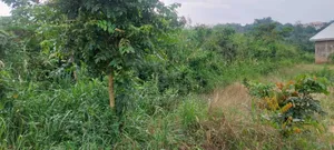 One Acre Farm Land for Sale