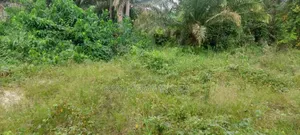 One Acre Farm Land for Sale