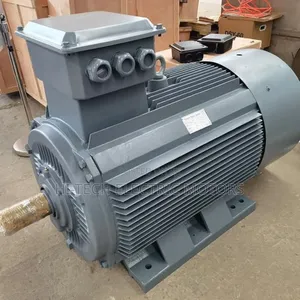 60hp/45kw Three Phase Heavy Duty Electric Motor
