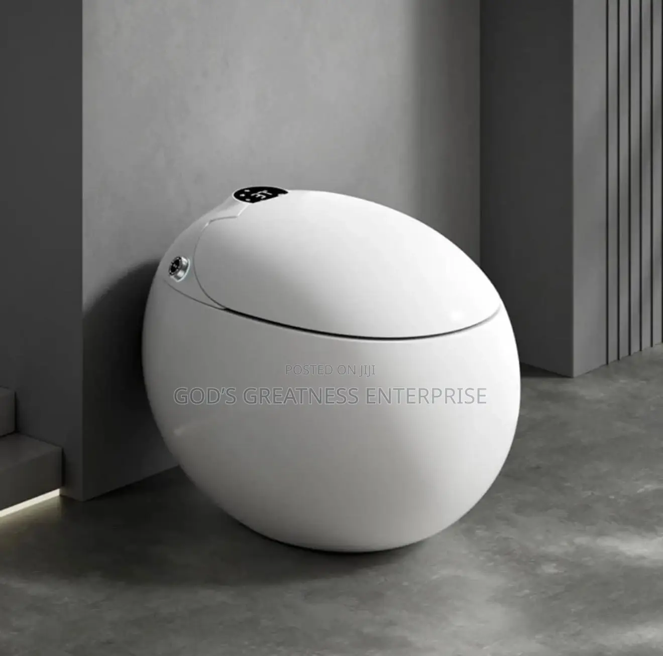 Egg Shaped Wc
