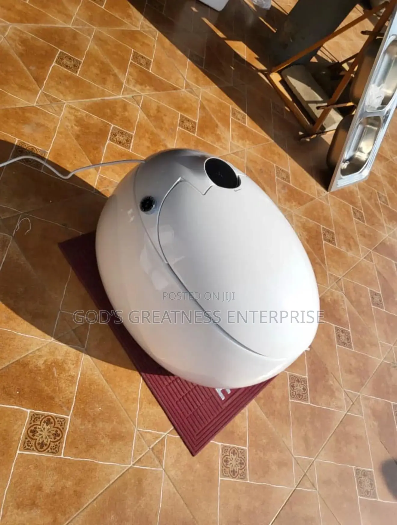 Egg Shaped Wc