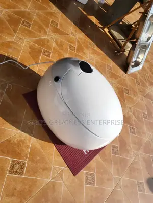 Egg Shaped Wc