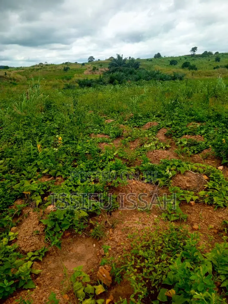 Three Plots of Land