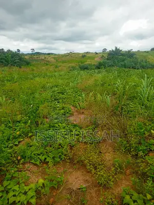 Three Plots of Land