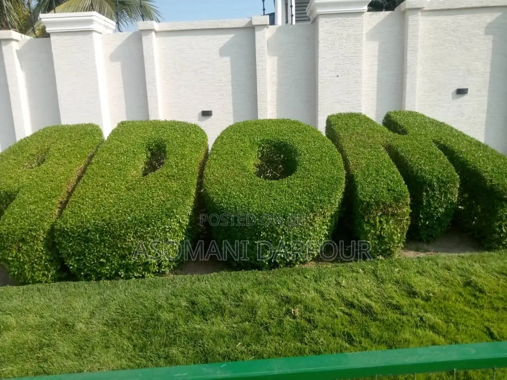 Landscaping and Garden Services in Ghana