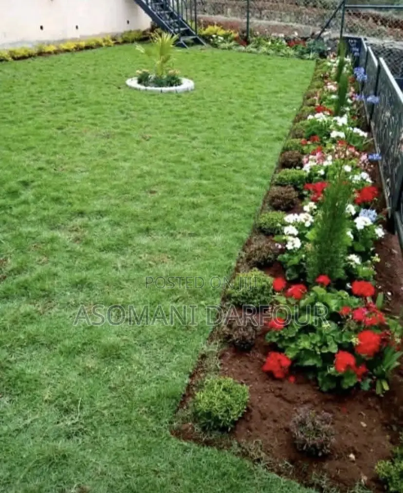 Landscaping and Garden Services in Ghana