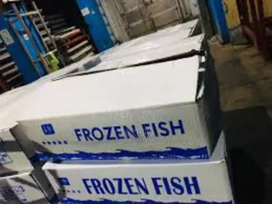 Salmon Fish Box 10kg+ 15kg+ 20kg+