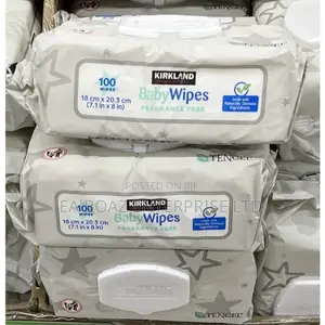 Kirkland Signature Baby Wipes Fragrance Free 100 Wipes Per 1