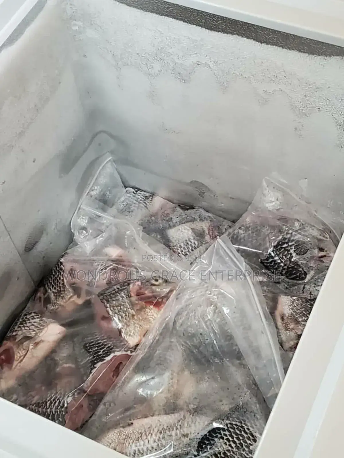 Volta Catch Tilapia