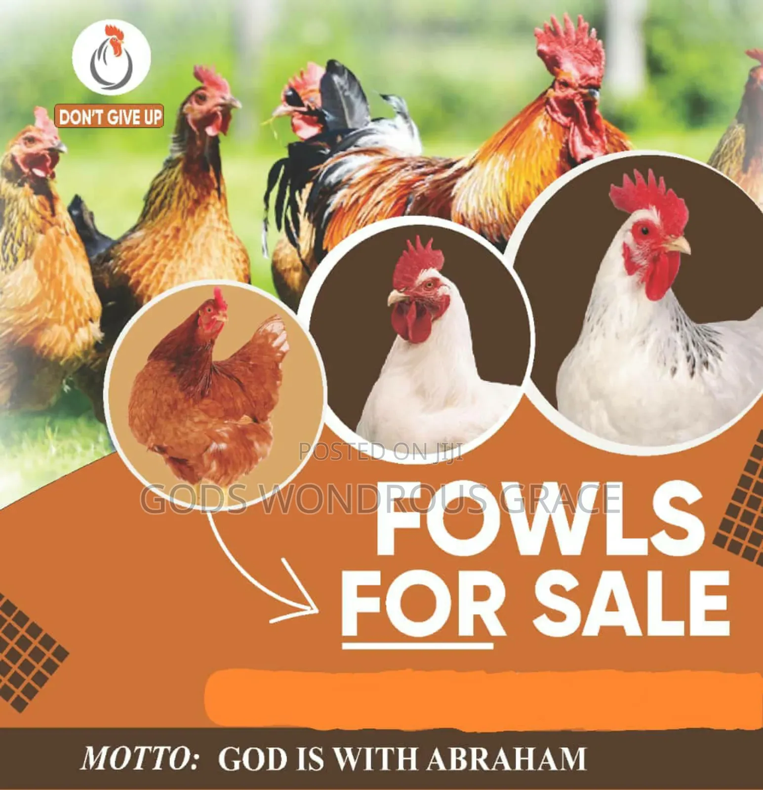 Fowls for Sale