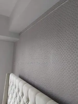 Professional 3d Wallpaper Installer and Painter