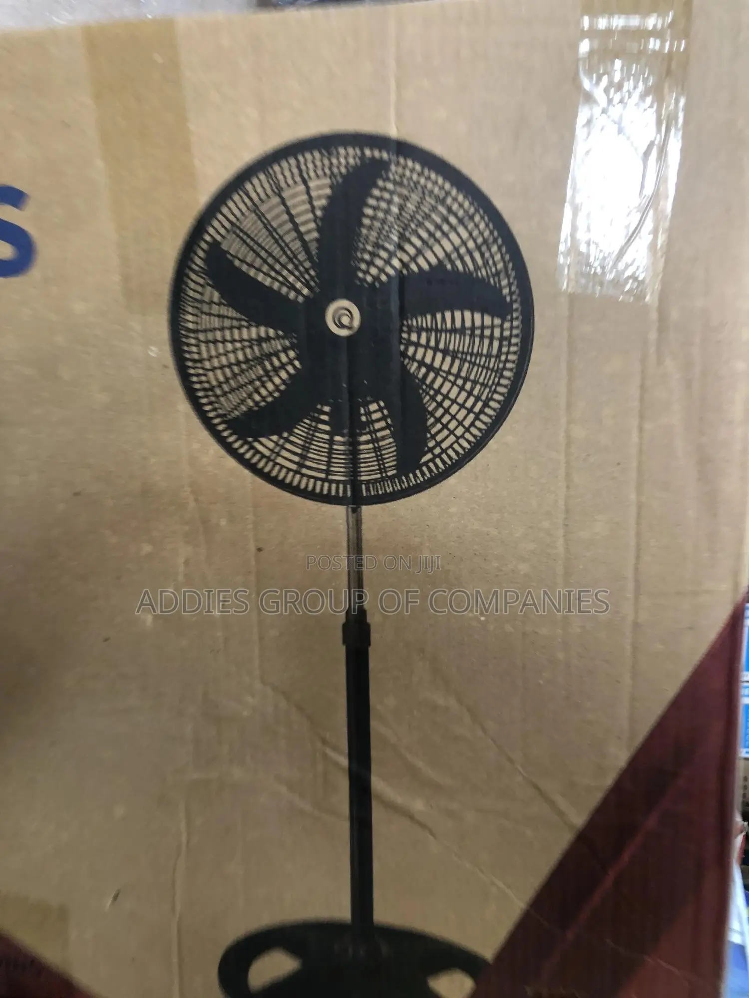 Standing Fan