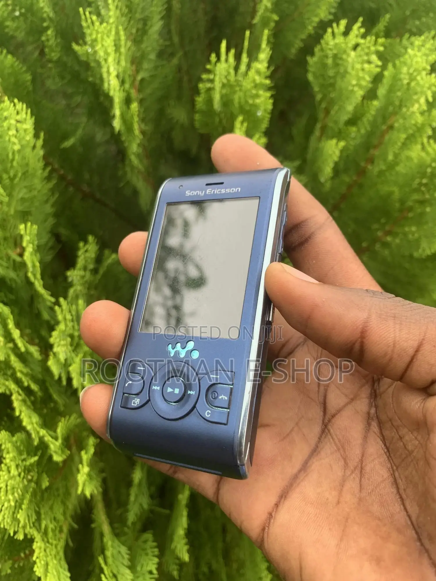 Sony Ericsson W595 Blue