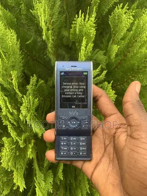 Sony Ericsson W595 Blue