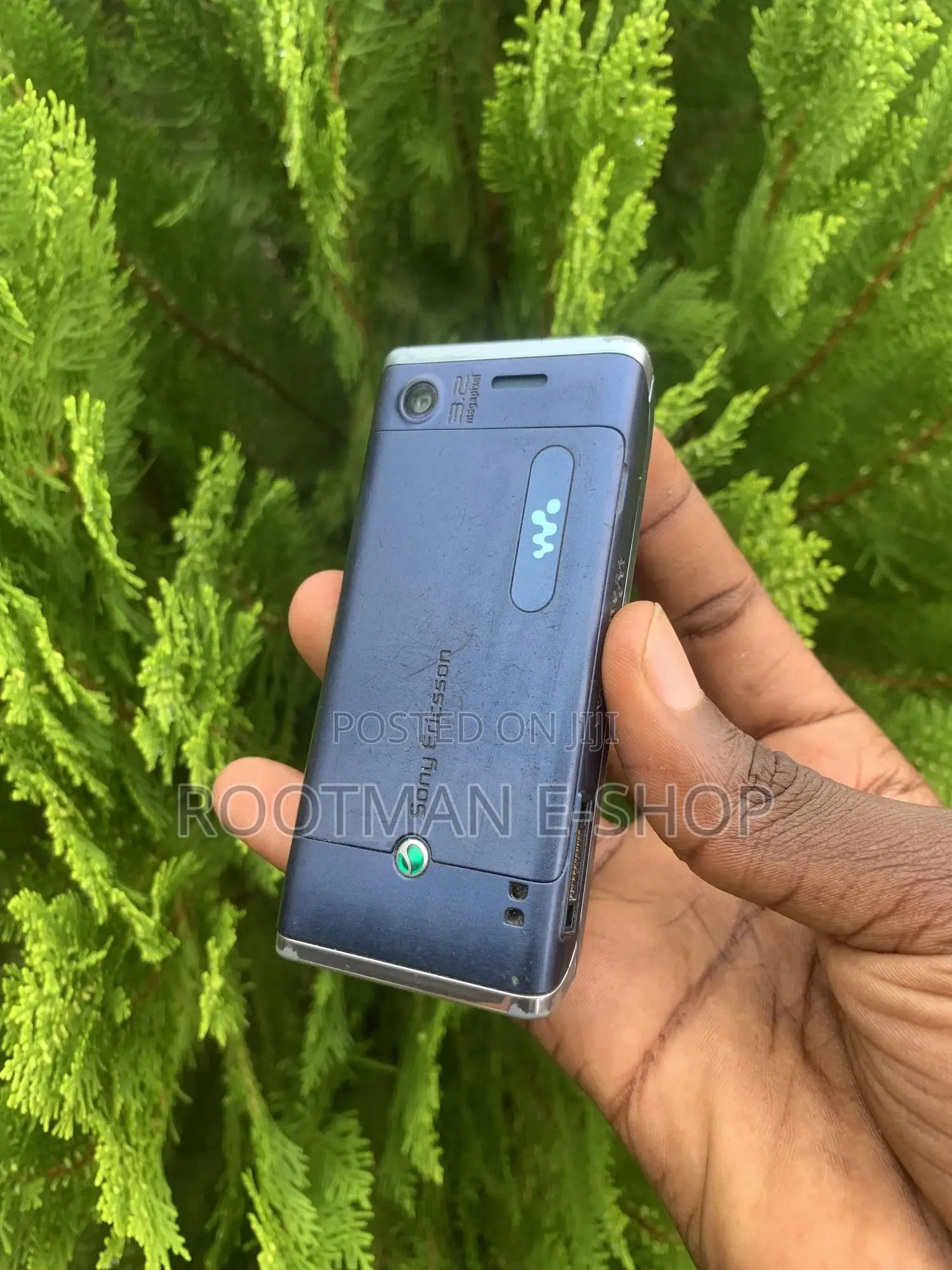 Sony Ericsson W595 Blue