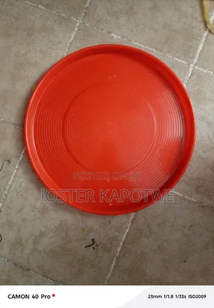 Chicks Trays