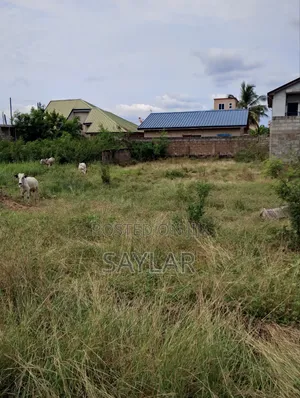 Nice Half Plot Klagon With TDC Documents by Regimaneul Estates Fence
