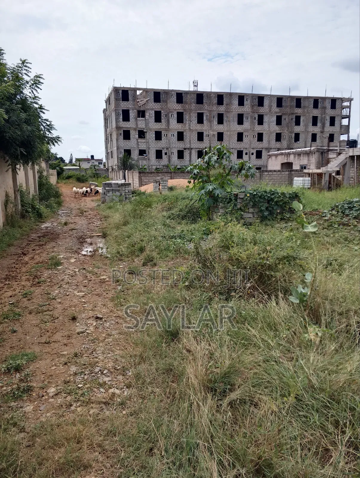 Nice Half Plot Klagon With TDC Documents by Regimaneul Estates Fence