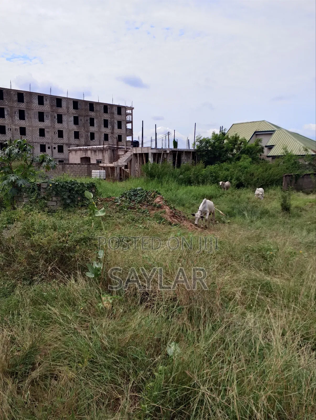 Nice Half Plot Klagon With TDC Documents by Regimaneul Estates Fence