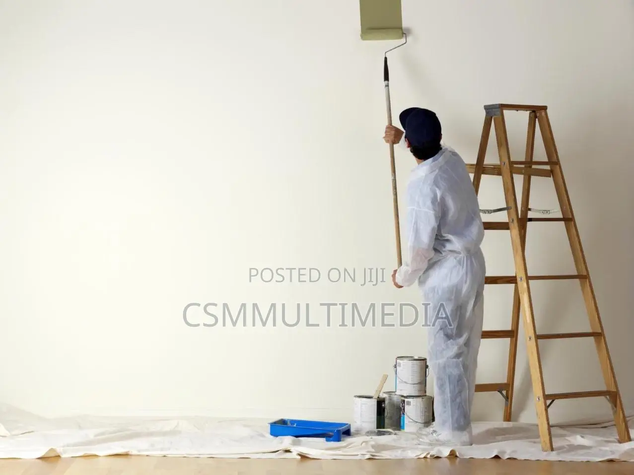 Professional Painter