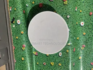 Most Affordable 8inch Ceiling Speakers