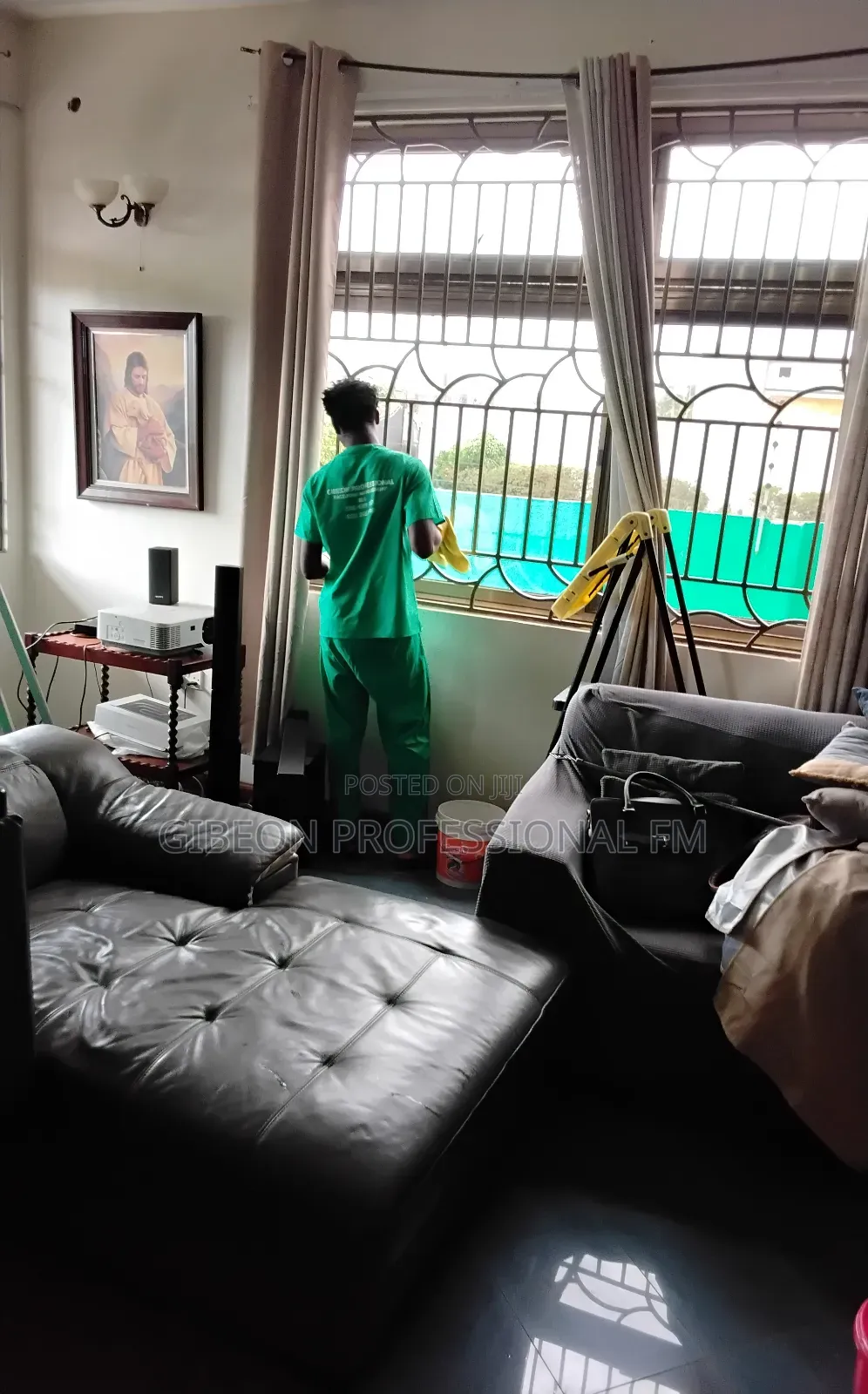 Professional Steam Leather Sofa Cleaning and Polishing