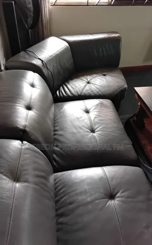 Professional Steam Leather Sofa Cleaning and Polishing