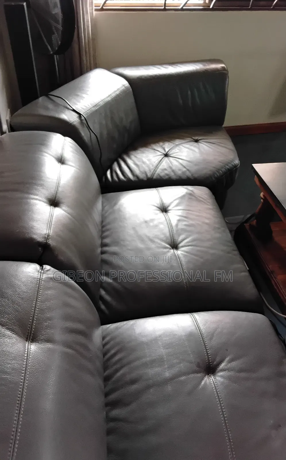 Professional Steam Leather Sofa Cleaning and Polishing