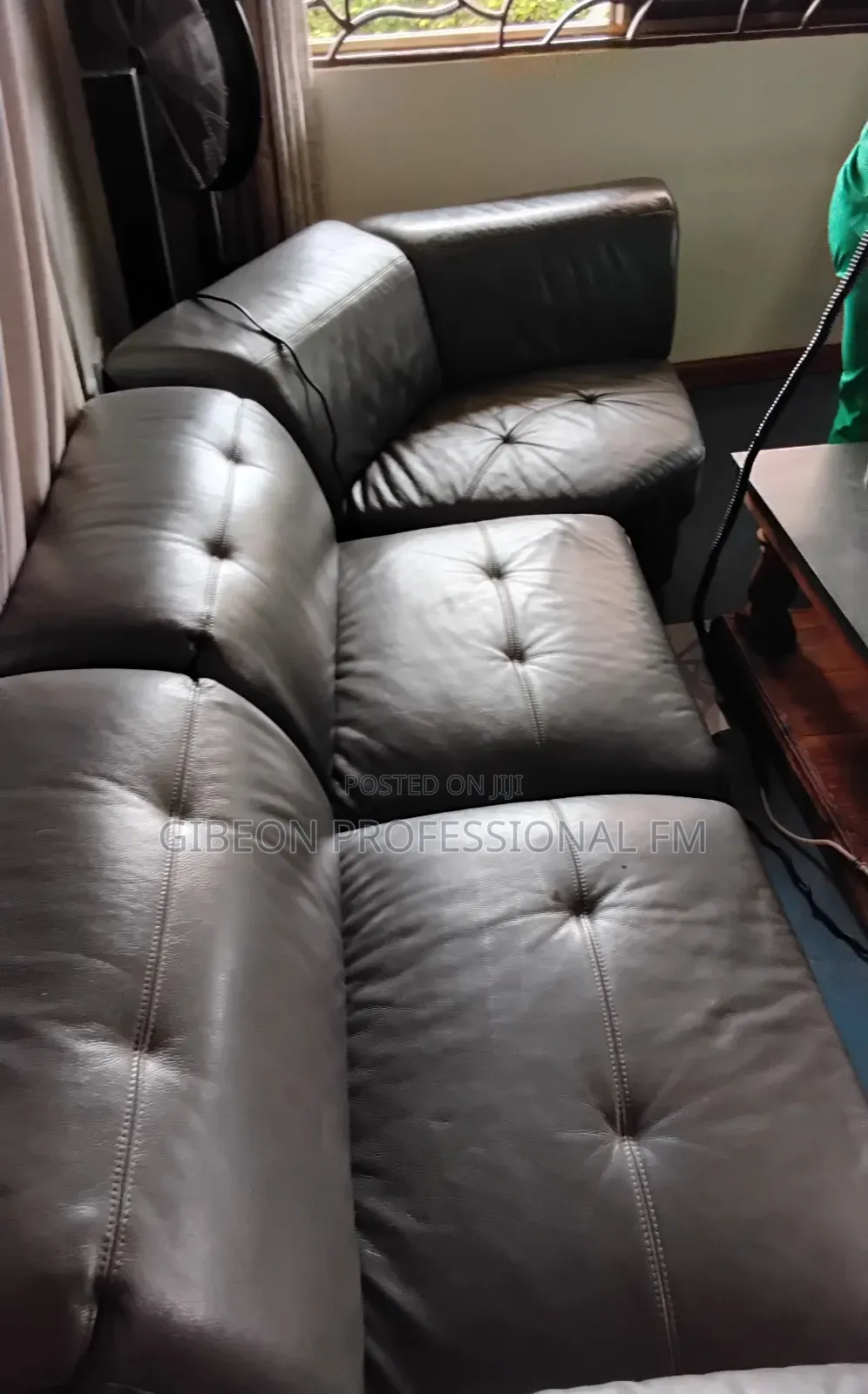 Professional Steam Leather Sofa Cleaning and Polishing