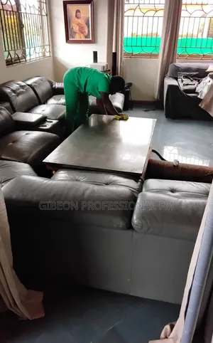 Professional Steam Leather Sofa Cleaning and Polishing