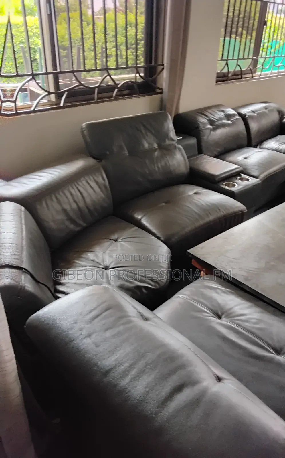 Professional Steam Leather Sofa Cleaning and Polishing