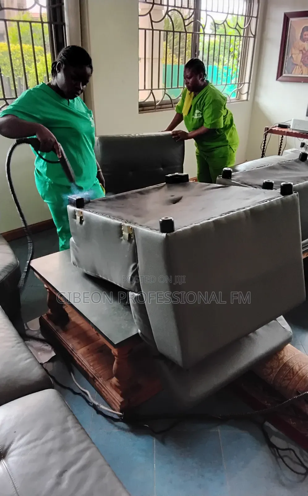 Professional Steam Leather Sofa Cleaning and Polishing