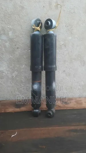 Ran 4 2006-2018 Back Shocks