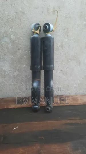 Ran 4 2006-2018 Back Shocks
