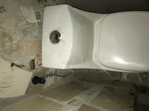 Bryce Man Plumbing Bio Digester Services