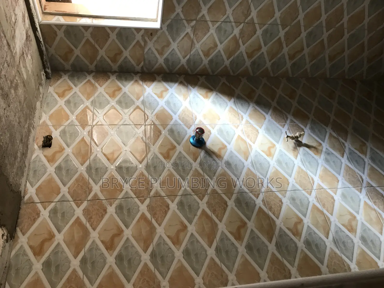 Bryce Man Plumbing Bio Digester Services