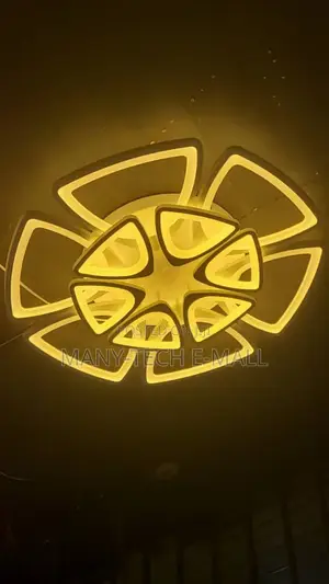 Warm Luxurious Ceiling Light