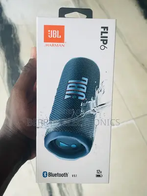 JBL Flip 6