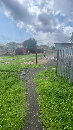 Land for Sale at Dome