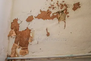 Damp Proofing at Fundation Level Is Cheap