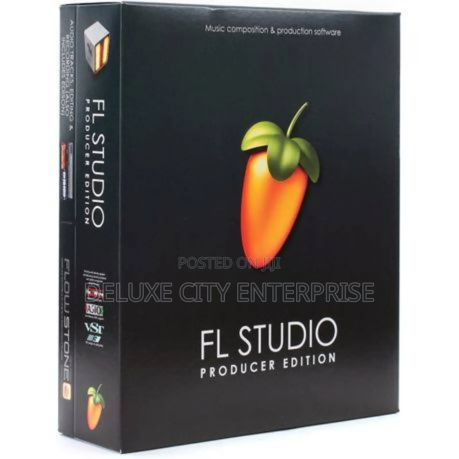 Fl Studio Producer Edition V25 for Windows