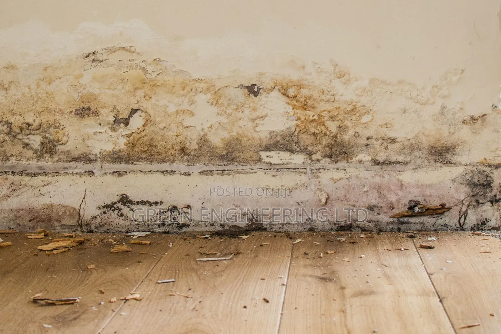 Damp Proofing Spend Less at Construction Stage