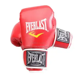 Everlast Boxing Gloves Training Fighting Professional
