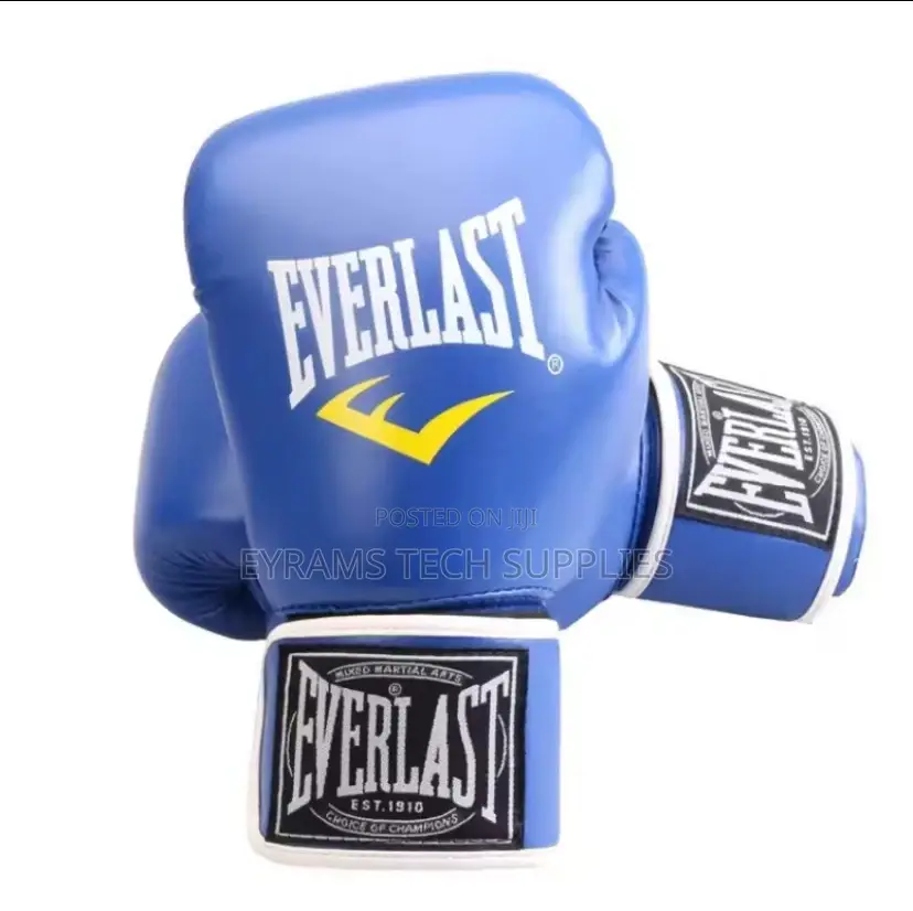 Everlast Boxing Gloves Training Fighting Professional
