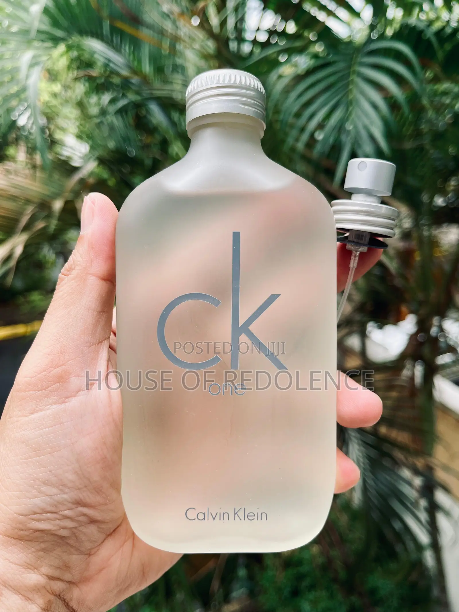 Calvin Kelvin Ck One