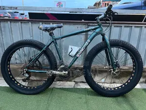 Size 24 U.S.A Home Used Big Tire Bicycle With Powerful Design